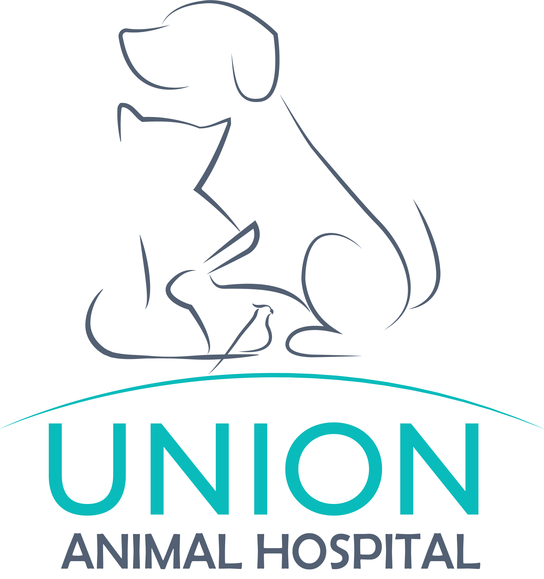 Home | Veterinarian in Spokane, WA | Union Animal Hospital